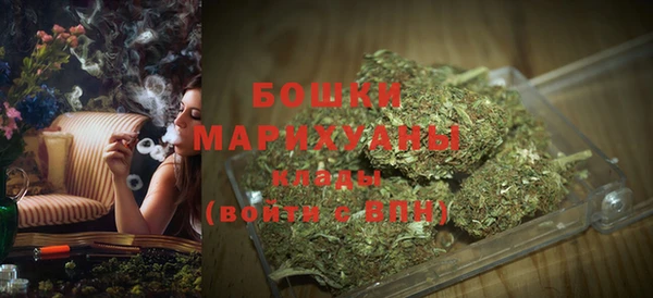хмурый Гусев