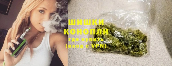 хмурый Гусев