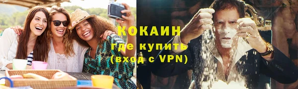 хмурый Гусев