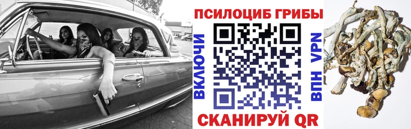 blacksprut как зайти  где найти   Октябрьск  Галлюциногенные грибы Psilocybe 